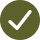 Icon 11