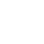 Icon 8